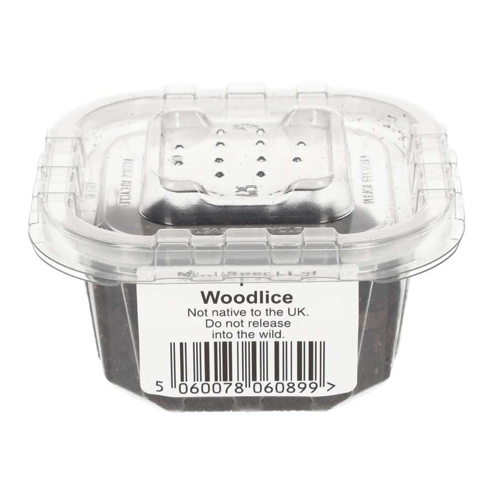 Mini Speckled Woodlice Pre-Pack