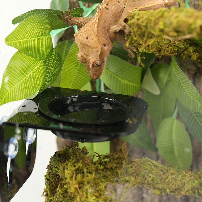 Repti Zoo Arboreal Feeder BLACK 8x8cm