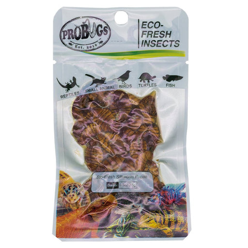 ProBugs Eco Fresh Silkworm pupae, 15g - Reptiles By Post