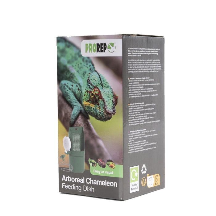 ProRep Arboreal Chameleon Feeding Dish - Reptiles By Post